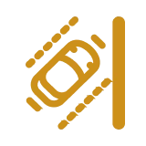 VIP parking icon